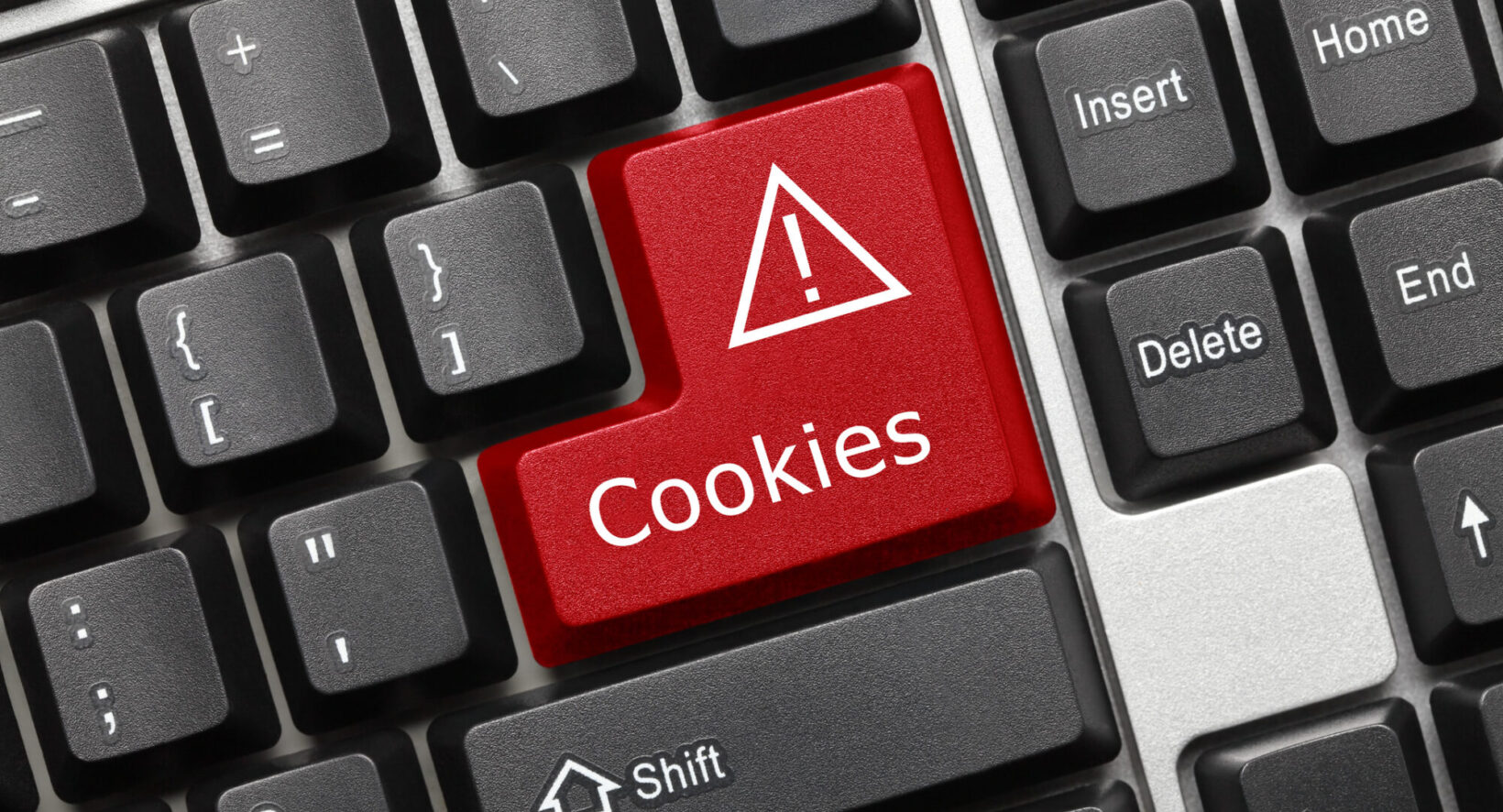 Cookieに頼らない顧客理解:ゼロパーティデータ入門と実践